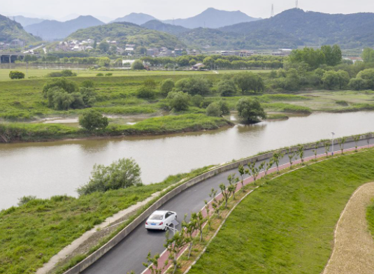 河道治理专用菌