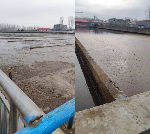 市政污水 河北临漳某污水处理厂