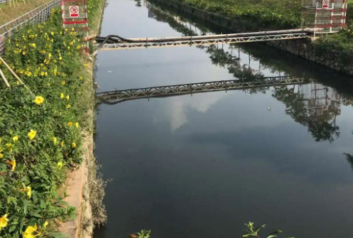 污水处理菌