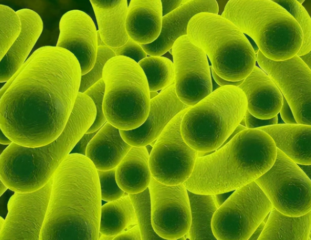 山东诺维海生物科技有限公司